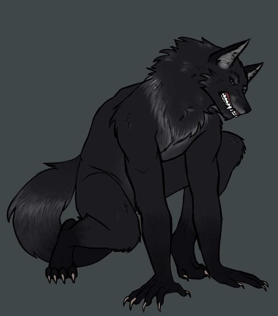 Werewolf Reference [2024]